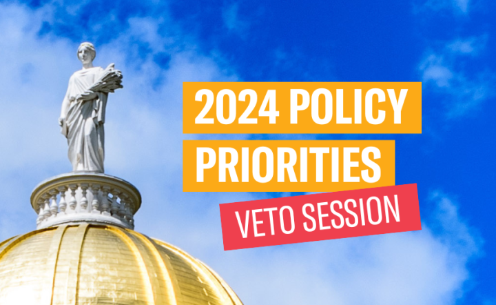 2024 Policy Priorities: Veto Session