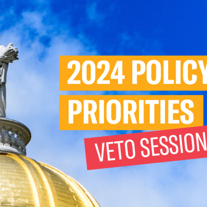 2024 Policy Priorities: Veto Session